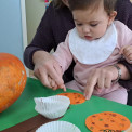COCINAMOS PRODUCTOS DEL OTOÑO